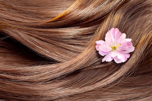 красивые здоровых блестящих волос с цветком текстура - hair flower стоковые фото и изображения