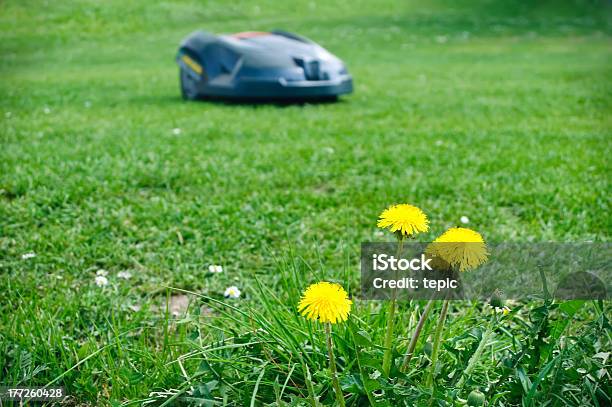 Robot Lawn Mower Stock Photo - Download Image Now - Robot, Mowing, Lawn Mower