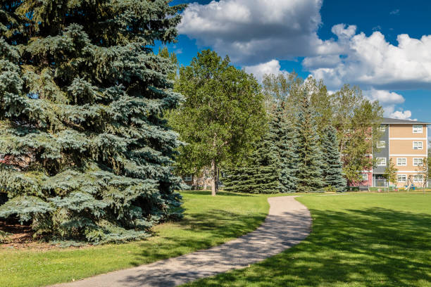 istock Pacific Heights Retreat: Atlantic Park, Saskatoon 1772605940