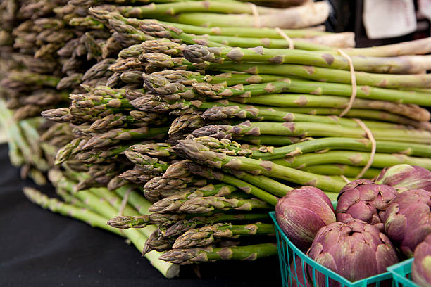 Freshly harvested organic asparagus spears with purple artichokes stock photo