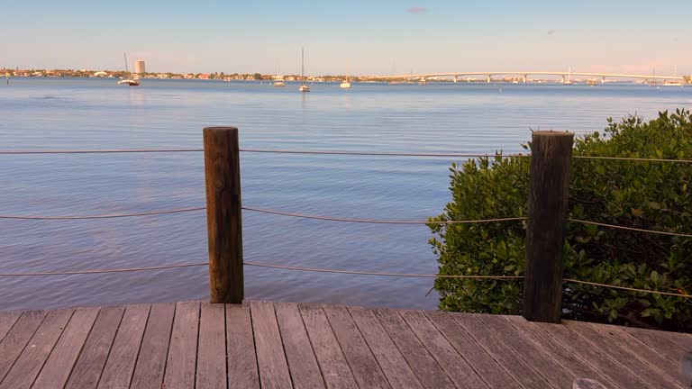 Slow motion approach along mangrove boardwalk to wide view of Sarasota Bay