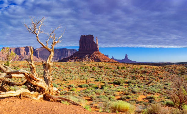 istock Totem Pole in Monument Valley, Arizona 1772623481