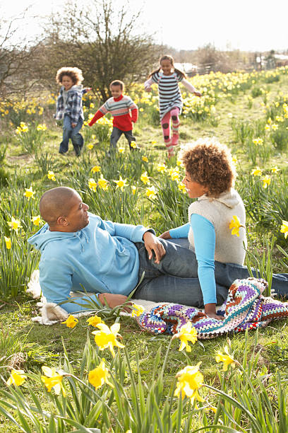 istock A family having a picnic and relaxing in a field in spring 177262863