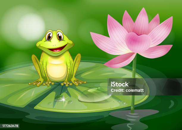 Frog Beside The Pink Flower At Pond Stock Illustration - Download Image Now - Amphibian, Animal, Backgrounds