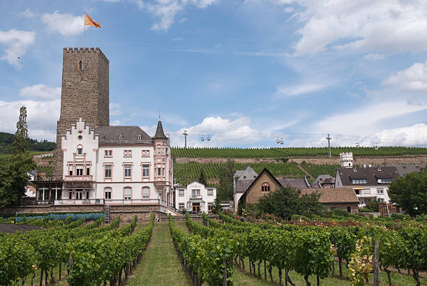 istock vineyard at rudesheim 177263512