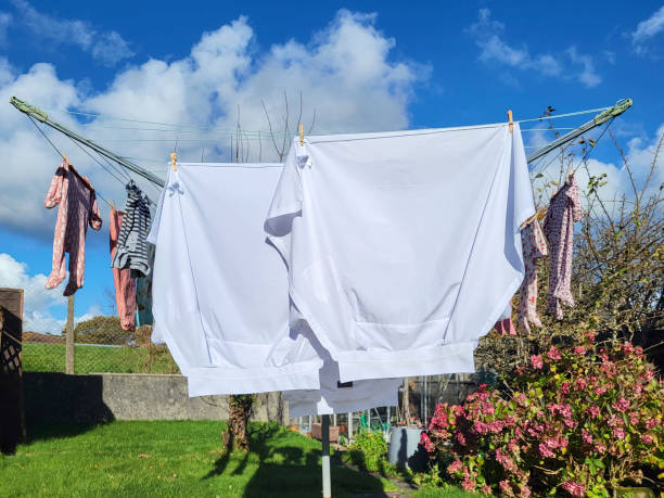 istock White shirts drying on the washing line. 1772637339