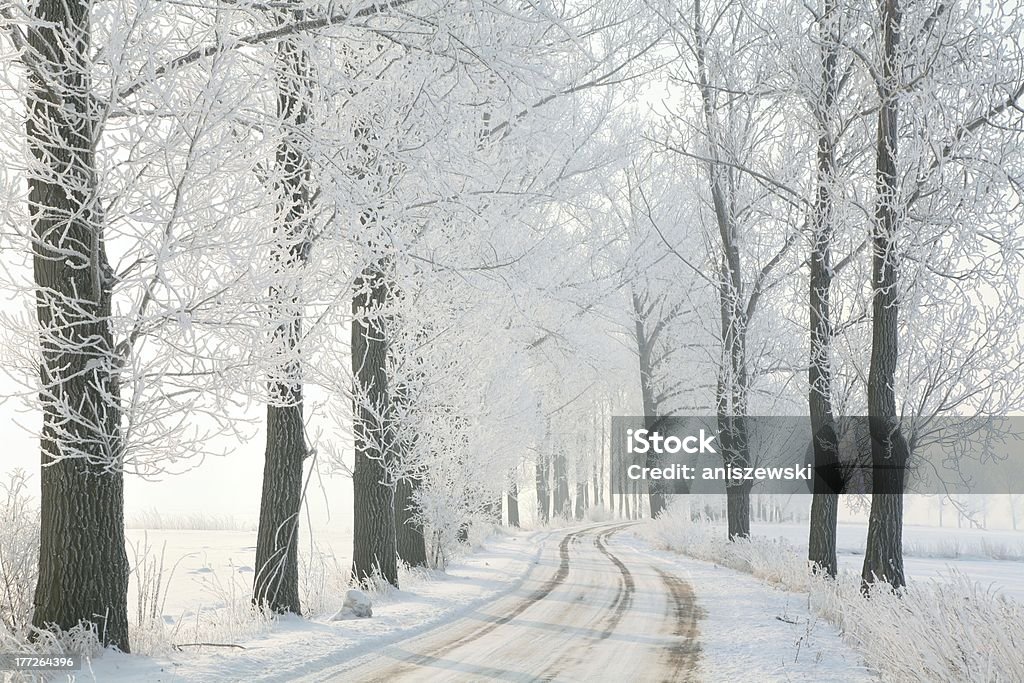 Faixa de inverno - Foto de stock de Geada royalty-free