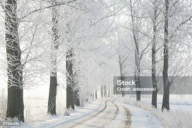 Foto de Faixa De Inverno e mais fotos de stock de Geada - Geada, Inverno, Luz solar