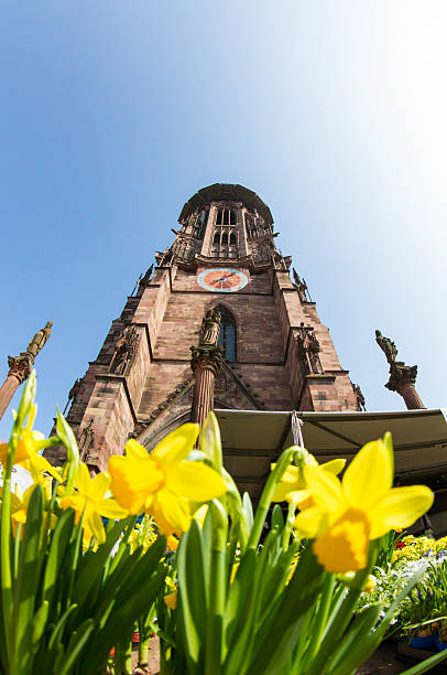 easter flowers in front of freiburg's cathedral stock photo
