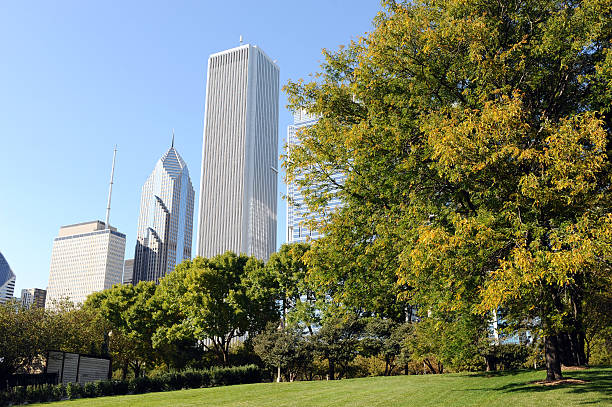 istock Skyscrapers of Chicago downtown 177265199