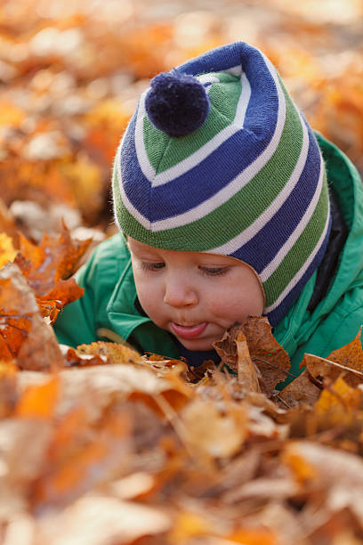 istock Baby in autumn 177265476