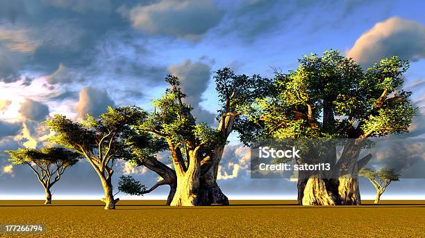 African Campagne Baobab - Fotografie stock e altre immagini di Africa - Africa, Albero, Ambientazione esterna