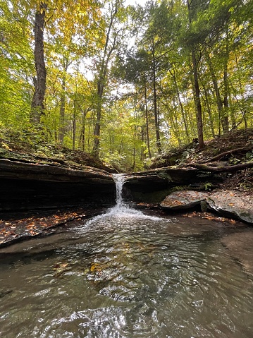 A scenic view of a tranquil stream meandering through a forest of lush trees and rocky terrain