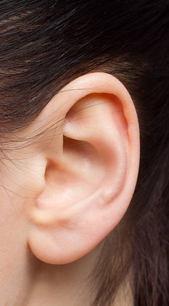 Closeup of a human ear stock photo