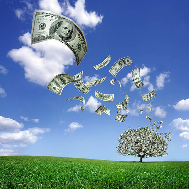 reducción de las facturas de árbol de dinero dólares - money doesnt grow on trees money tree wealth paper currency fotografías e imágenes de stock