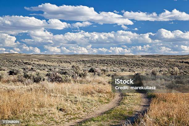 Bylica Wysokiej Desert W Wyoming - zdjęcia stockowe i więcej obrazów Bez ludzi - Bez ludzi, Bylica - Biegacz stepowy, Chmura