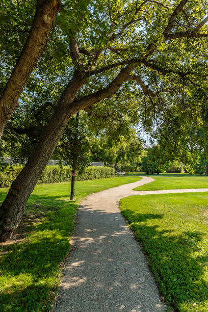istock Buena Vista Park 1772681026