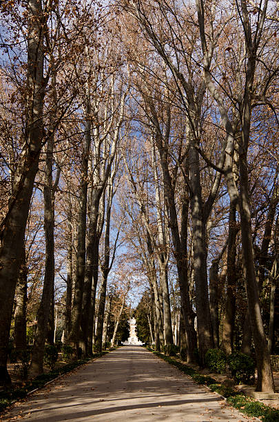 istock Aranjuez Royal Palace Gardens 177268532