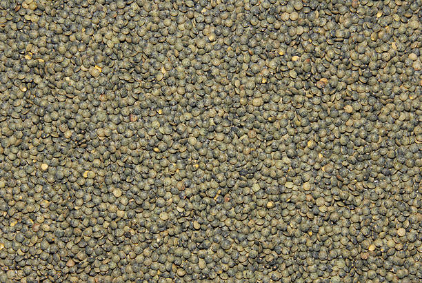 French green lentils stock photo