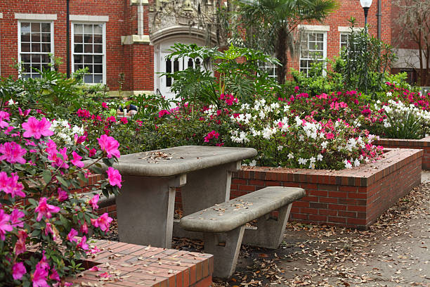 istock University of Florida Griffin-Floyd Hall Courtyard 177268816