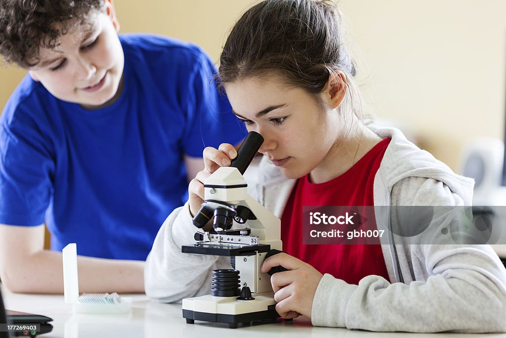 Kinder untersuchen etwas unter Mikroskop - Lizenzfrei 14-15 Jahre Stock-Foto