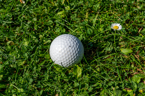 Lost golf ball is lying in moss.