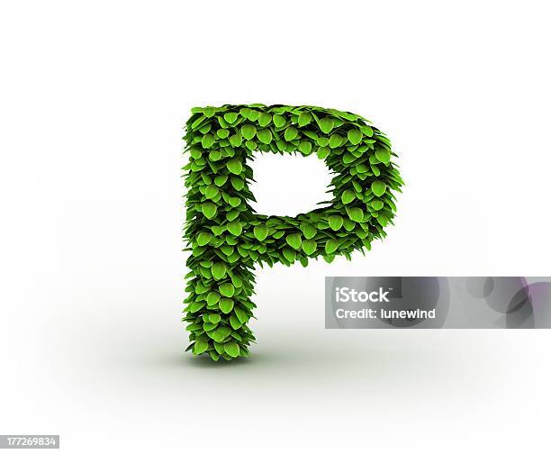 Letter P Alphabet Of Green Leaves Stock Photo - Download Image Now -  Abstract, Cut Out, Decoration - iStock