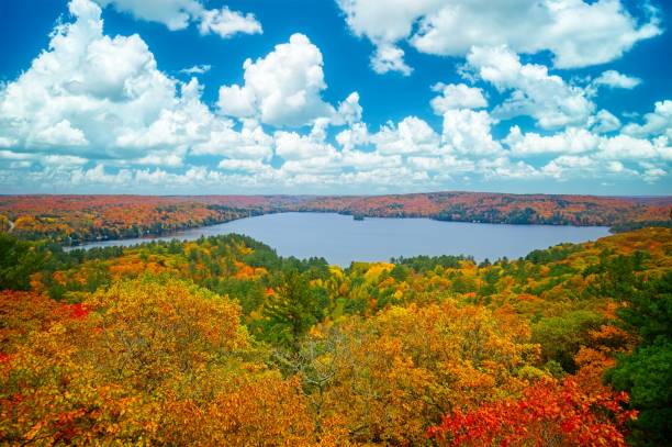 istock Aerial View of Trees Fall Colours and Small Lake 1772704821
