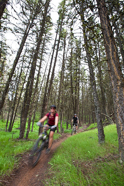 istock Mountain biking in Canadian forest 177271159