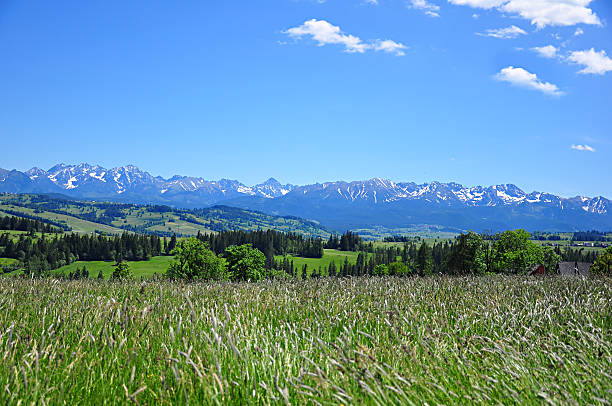 istock Tatra mountains in Poland 177271189