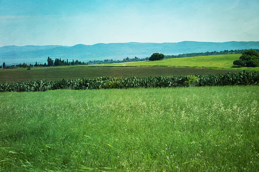 Beautiful landscape of Green field with blue mountains in the countryside located in Israel