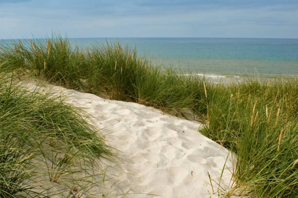 istock Sand dune and blue sea 177271491