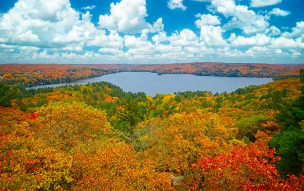 istock Aerial View of Trees Fall Colours and Small Lake 1772725312