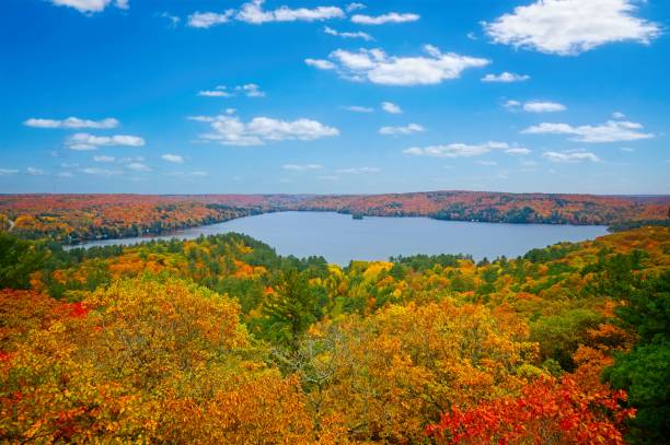 istock Aerial View of Trees Fall Colours and Small Lake 1772726962