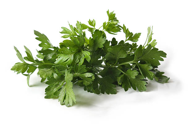 istock Parsley leaves on a white background 177272702