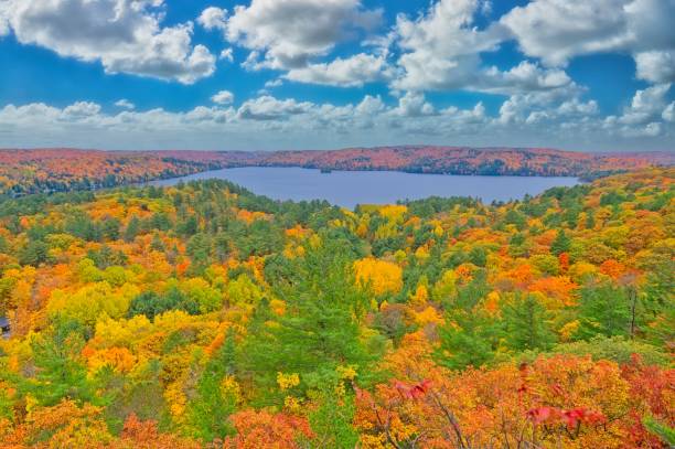 istock Aerial View of Trees Fall Colours and Small Lake 1772731913
