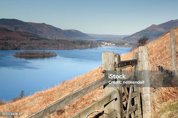 Derwentwater Dallapproccio Di Walla Cragg - Fotografie stock e altre immagini di Acqua - Acqua, Albero, Ambientazione esterna