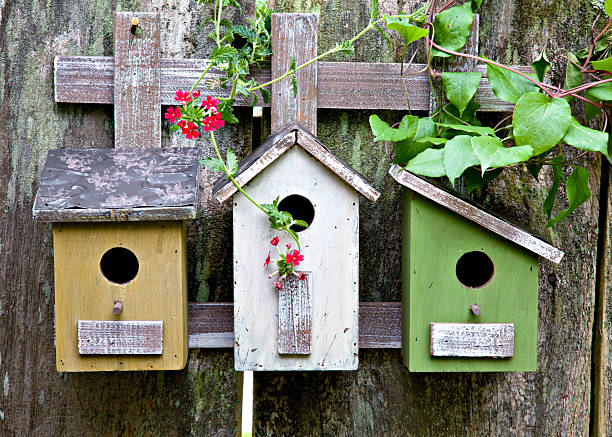 Three cute little birdhouses on rustic wooden fence with beautiful vines and red  blooms on them