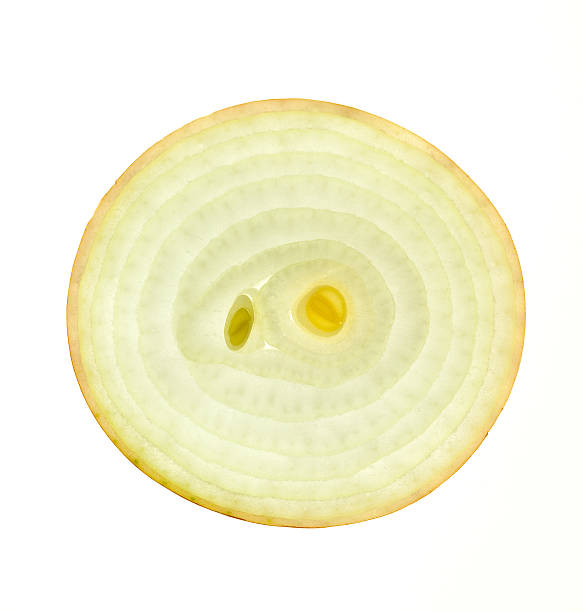istock Slice of a fresh Onion /  back lit / isolated on white 177273594