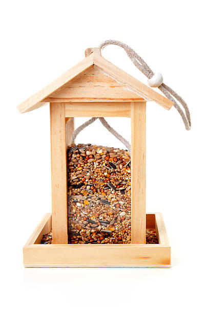 wooden bird feeder house with food over white background