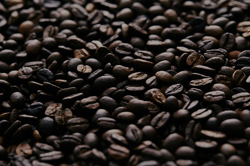 banner of beans texture background