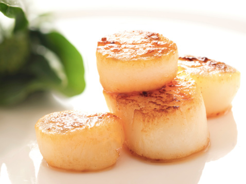 close up of a plate of pan seared sea scallops
