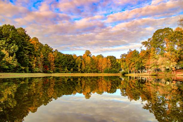 istock Autumn colors reflecting off of a pond 1772759371