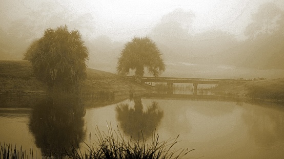 Foggy morning over the golf course bridge