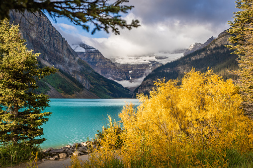 View of Lake Louise, Banff at sunrise with glowing yellow foliage from the rising sun