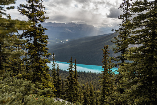 View of Lake Louise from hiking trails above in Banff.