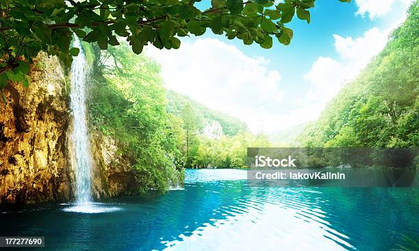 Wodospad W Głębokim Lesie - zdjęcia stockowe i więcej obrazów Liść - Liść, Wodospad, Jezioro
