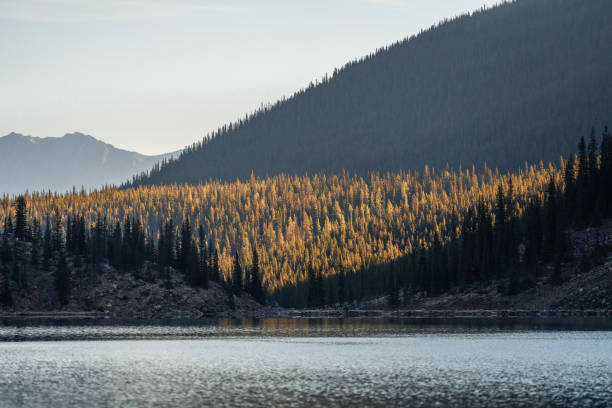 istock Moraine Lake Rockpile 1772777347