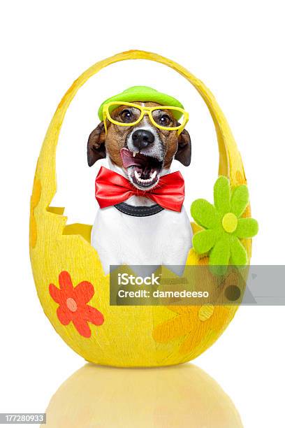 Perro En Coloridos Huevos De Pascua Foto de stock y más banco de imágenes de Accesorio para ojos - Accesorio para ojos, Alegría, Amarillo - Color