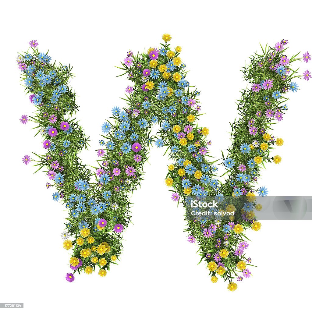 Letter W, flower alphabet isolated on white "LetterW, flower alphabet isolated on white" Alphabet Stock Photo